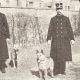 Полиция Брюсселя 1905 год в сопровождении лакенуа